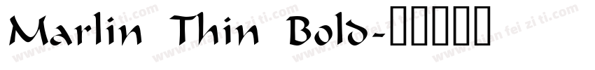 Marlin Thin Bold字体转换